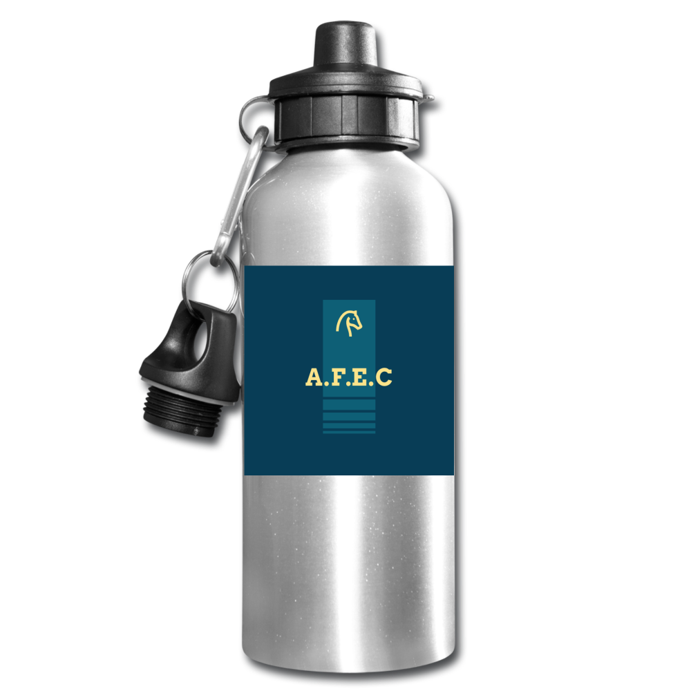 Water Bottle - silver