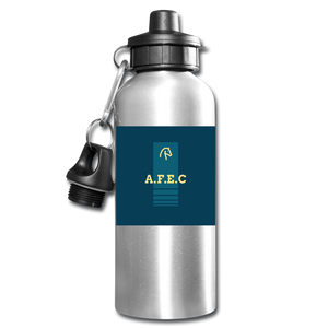 Water Bottle - silver