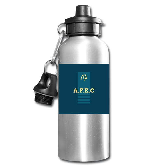 Water Bottle - silver