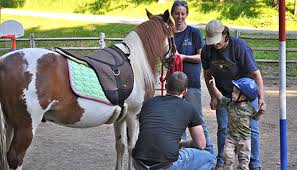 Vet Check Sponsor