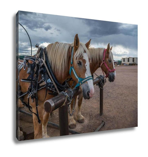 Gallery Wrapped Canvas, Carriage In Grand Canyon In Arizonusa